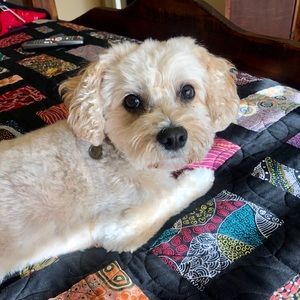 Meet your Posher, Joan